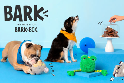 Target Partners With Pet Toy Company Bark